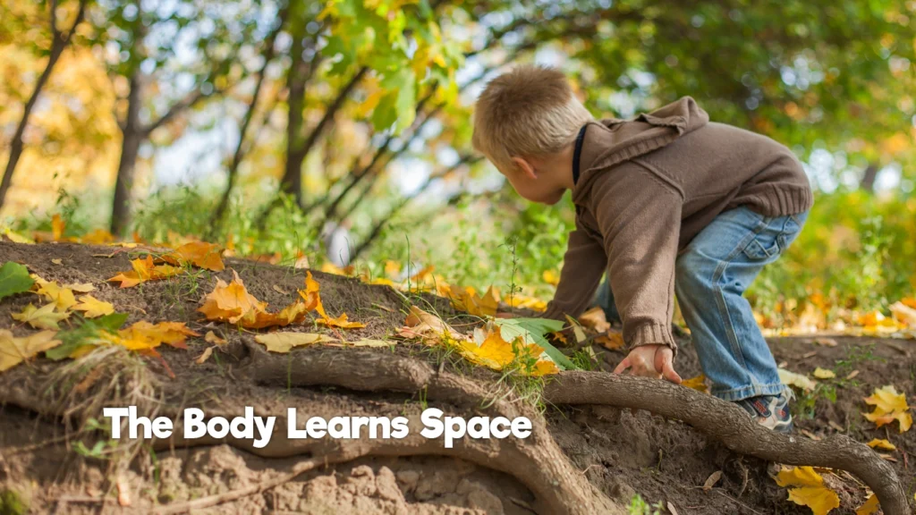 Child climbing over tree roots outdoors while developing gross motor skills and spatial awareness