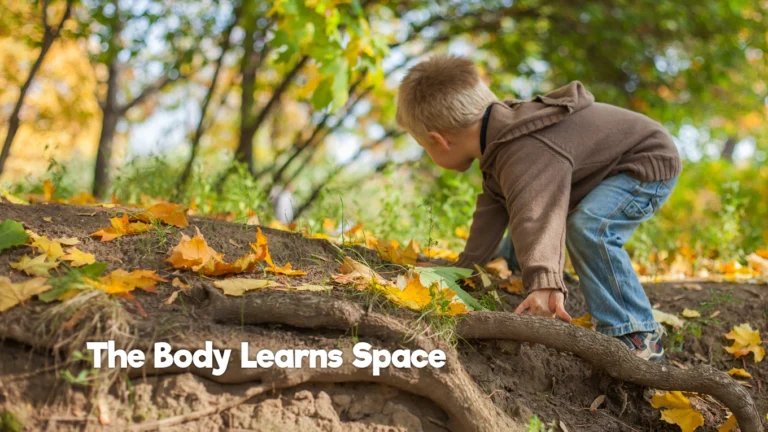 Child climbing over tree roots outdoors while developing gross motor skills and spatial awareness